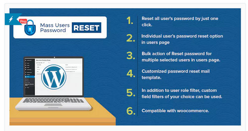 Mass Users Password Reset Pro